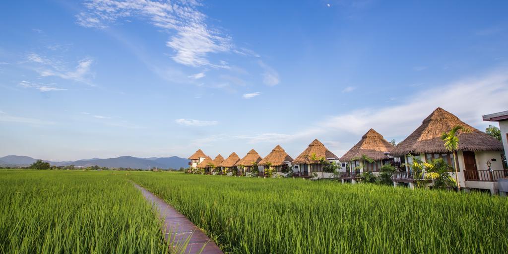ภูสันฟ้า รีสอร์ท แม่แตง ภายนอก รูปภาพ