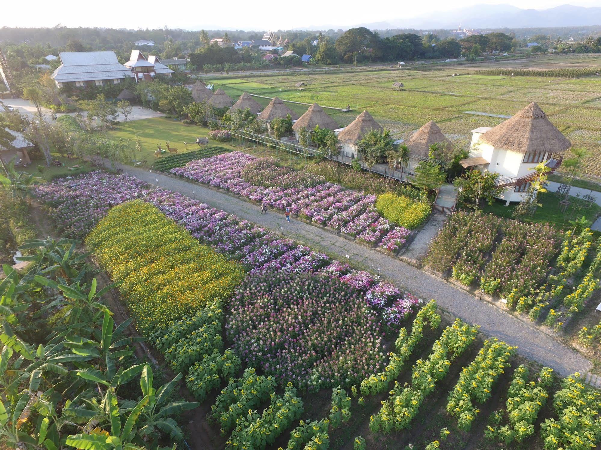 ภูสันฟ้า รีสอร์ท แม่แตง ภายนอก รูปภาพ
